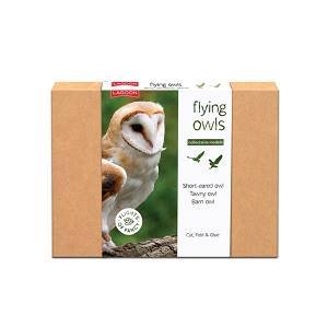 Flying Owls Collectable Models